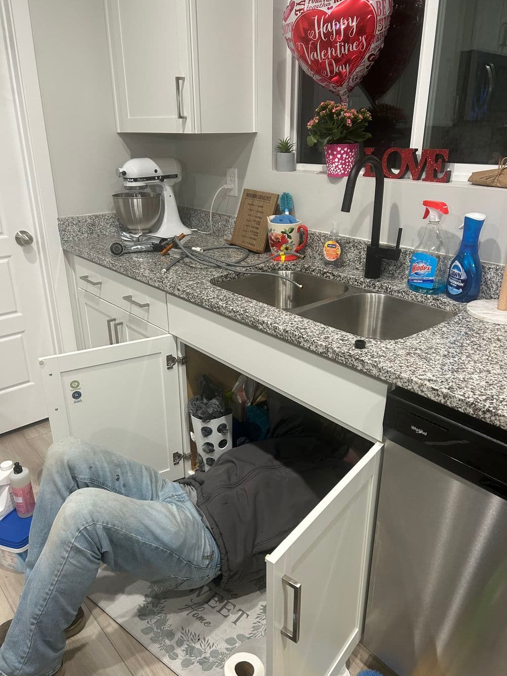 Garbage Disposal Repair image